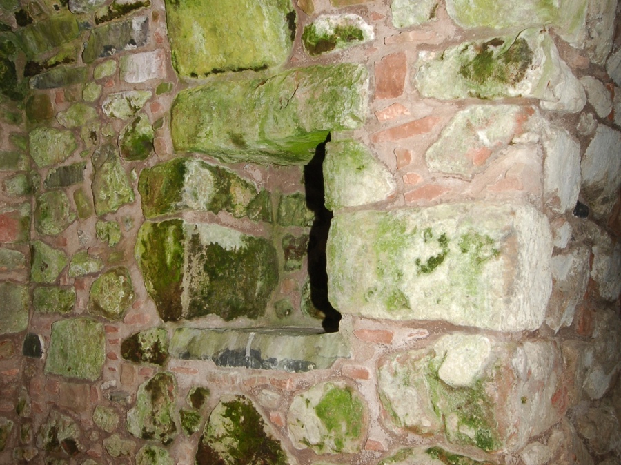 A historic stone castle wall covered with damp patches and green algae